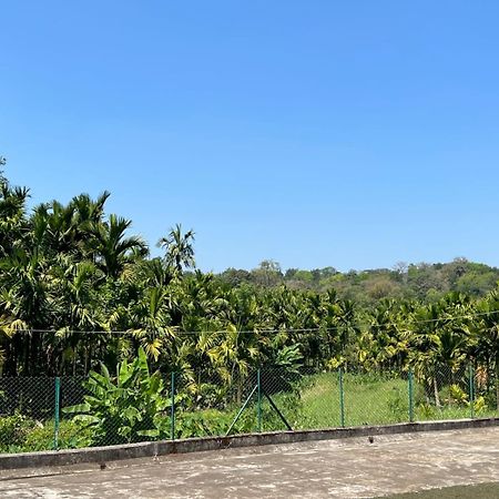 Emerald Castle Villa Madikeri Dış mekan fotoğraf