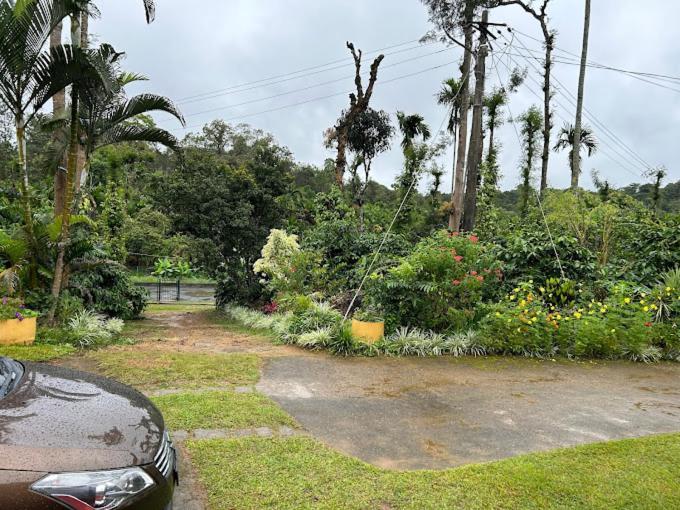 Emerald Castle Villa Madikeri Dış mekan fotoğraf