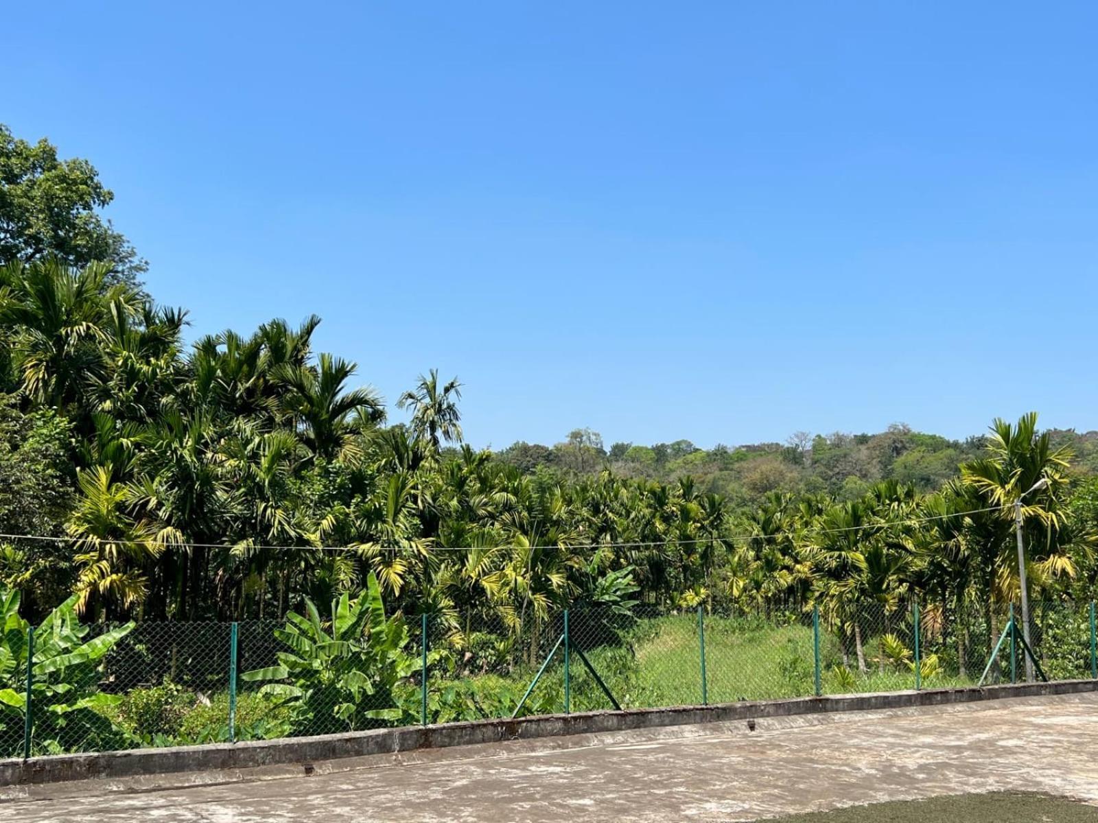 Emerald Castle Villa Madikeri Dış mekan fotoğraf